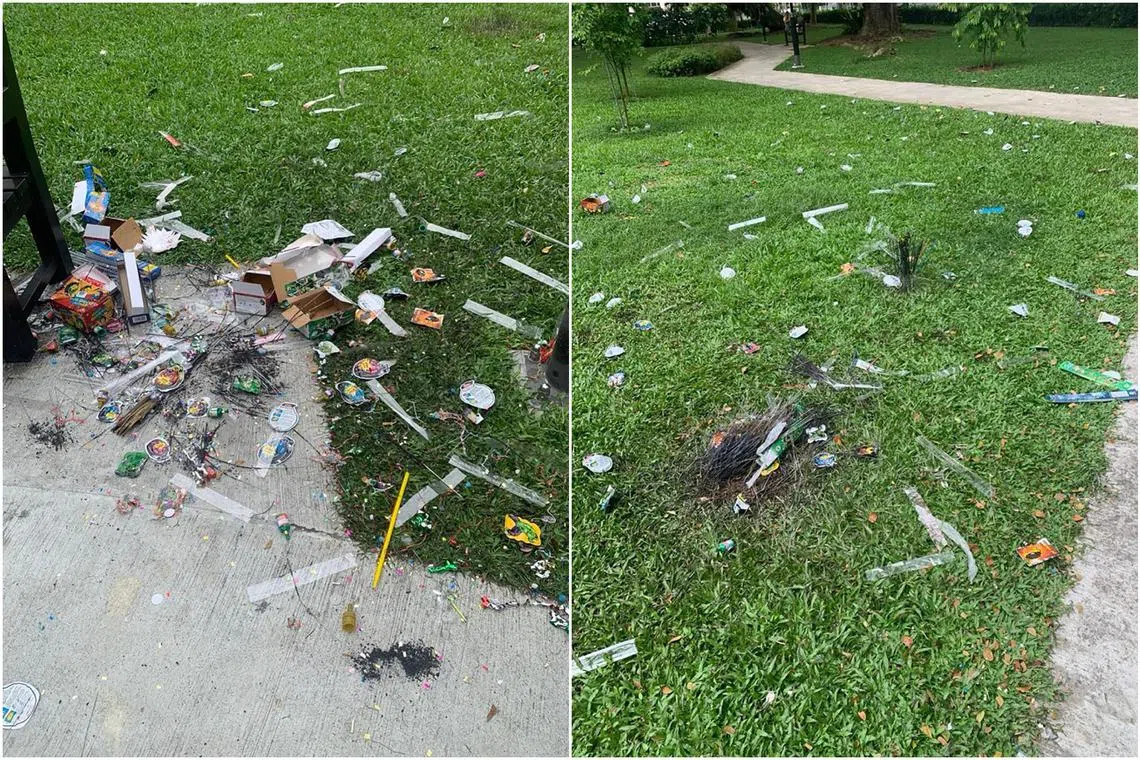 Photographs of the aftermath of Deepavali celebrations in the area showed sparklers and plastic wrappers strewn about the grass fields. 