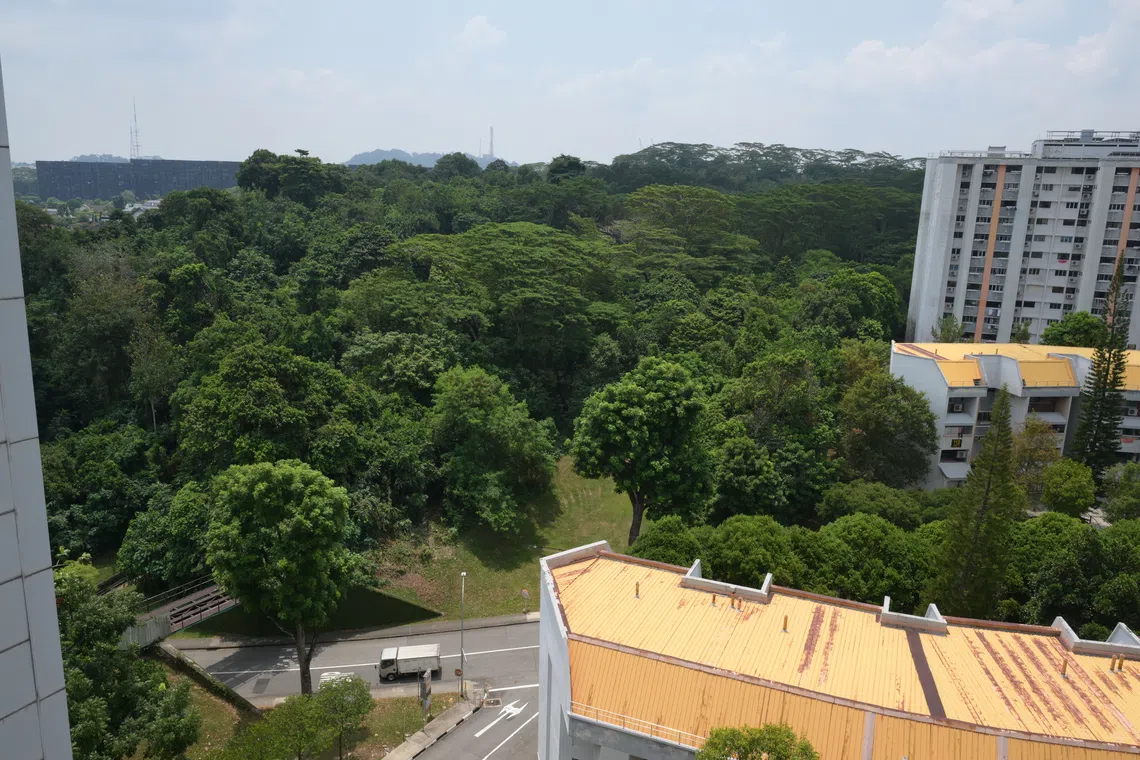 Following the public outcry over the Maju Forest, the Government said it would retain more greenery at both sites than initially proposed, explicitly accepting that this would mean fewer homes.