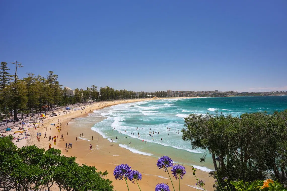 ssaus17 - Manly Beach, Sydney


Credit: DESTINATION NSW