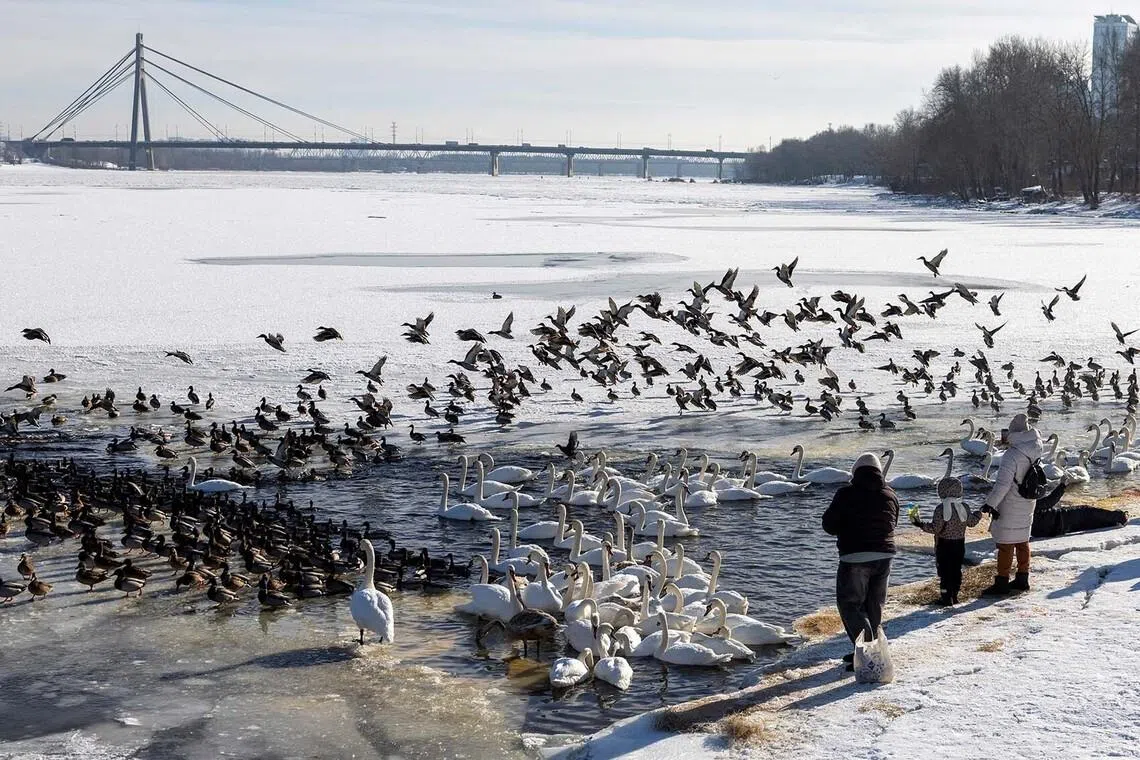 People feeding birds gathered in large numbers on an unfrozen stretch of the partially frozen Dnipro River during subzero temperatures, amid Russia's attack on Ukraine, in Kyiv, Ukraine Feb 2, 2026. 