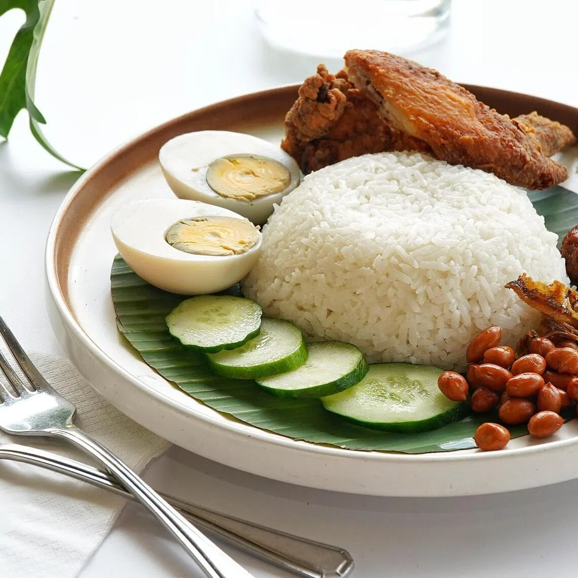 Coconut milk gives this rice dish its characteristic rich and creamy taste.