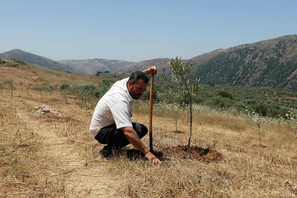 Lebanese farmer Zakaria Farah, sits on his land during an interview with Reuters in Qlayaa, southern Lebanon June 12, 2024. REUTERS/Aziz Taher