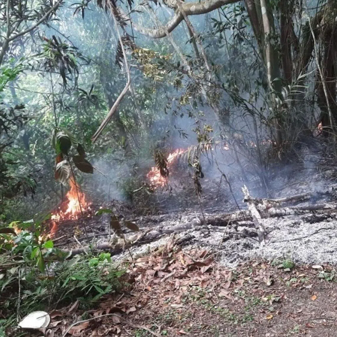 The National Environment Agency said the fires at Bukit Batok cemeteries were likely started by unattended joss stick or joss paper burning.