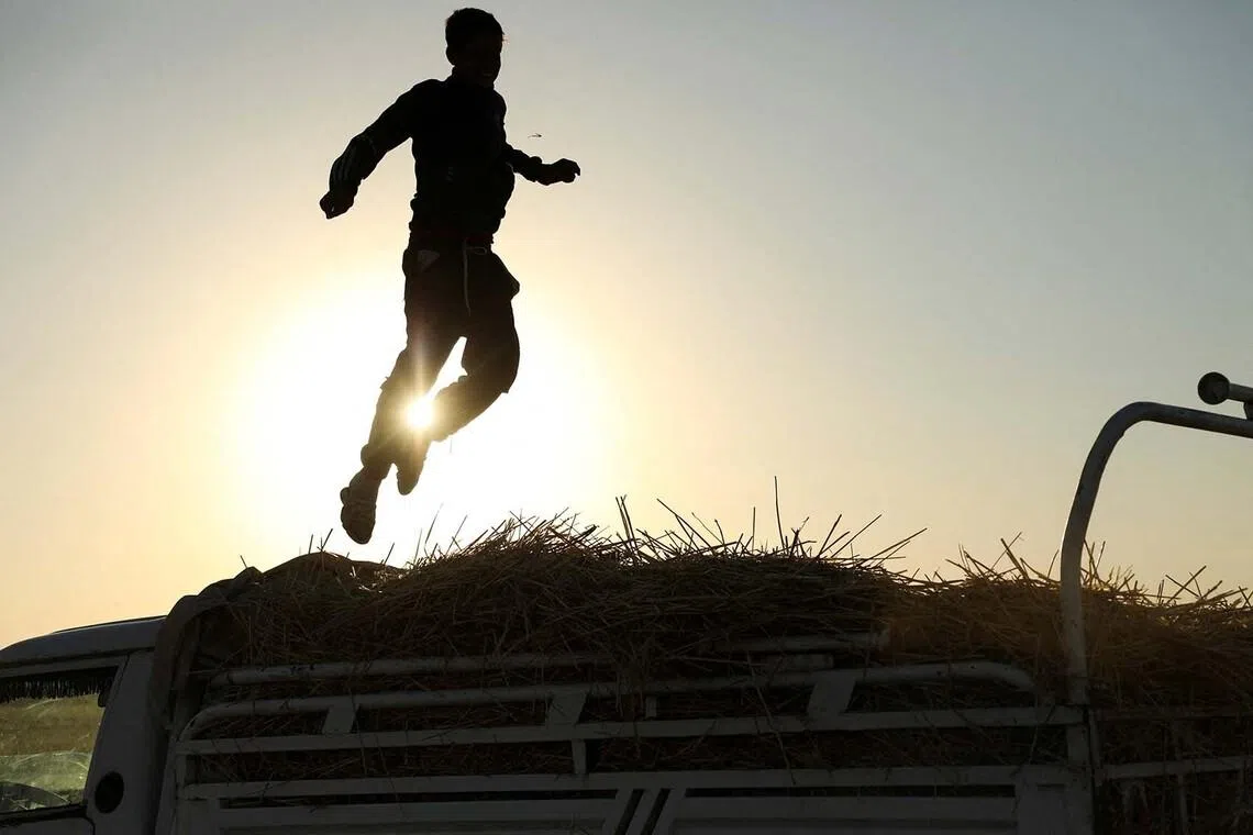 A boy is silhouetted as he jumps on top of a truck loaded with straws, after wheat harvest, in Qamishli, Syria, July 13, 2026. REUTERS/Orhan Qereman TPX IMAGES OF THE DAY