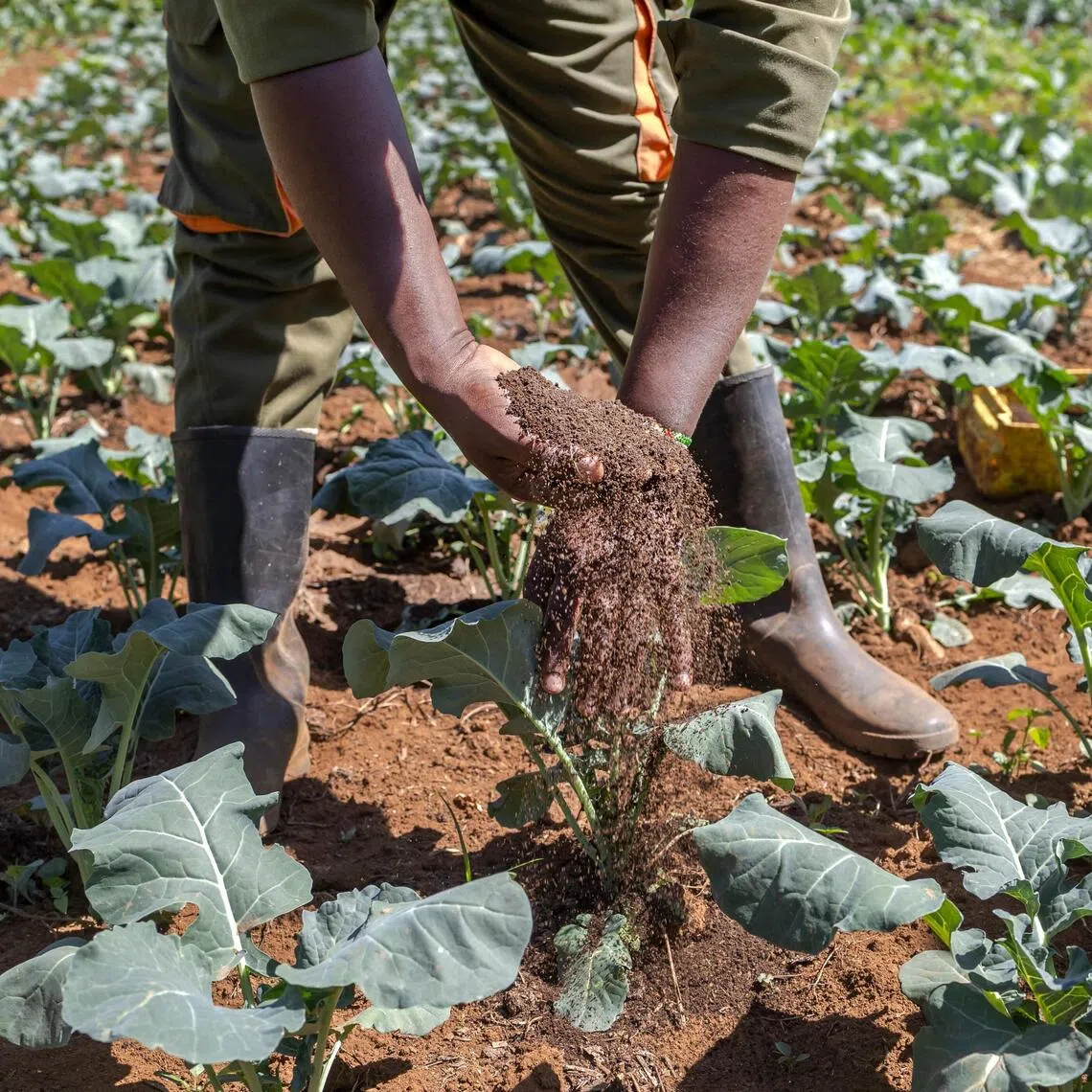 The report found that in 52.5 per cent of regions and subregions soil management was poor or very poor.