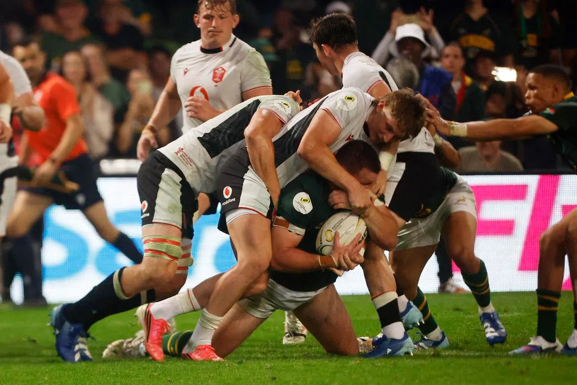 Sloppy Springboks secure 43-0 win over Wales in Nations Championship