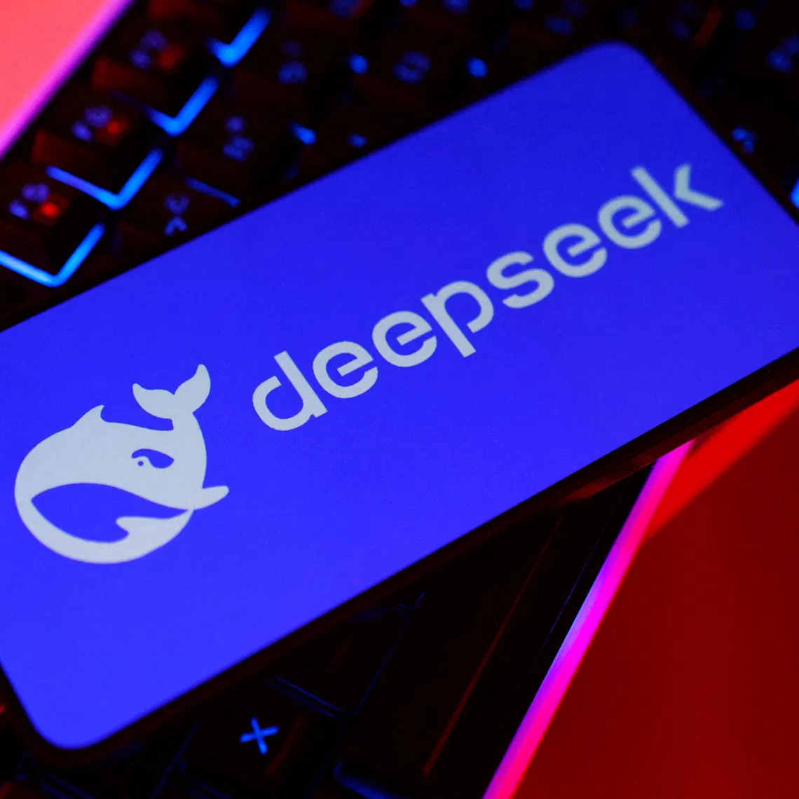 DeepSeek unveiled the V4.1-Flash-1017 in the late afternoon on Oct 17 with a series of posts on X. 