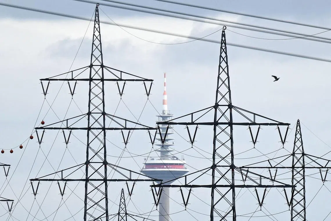 A bird flies past power line supports with the TV tower in the background near an industrial area in Frankfurt am Main, western Germany, on February 9, 2024. (Photo by Kirill KUDRYAVTSEV / AFP)