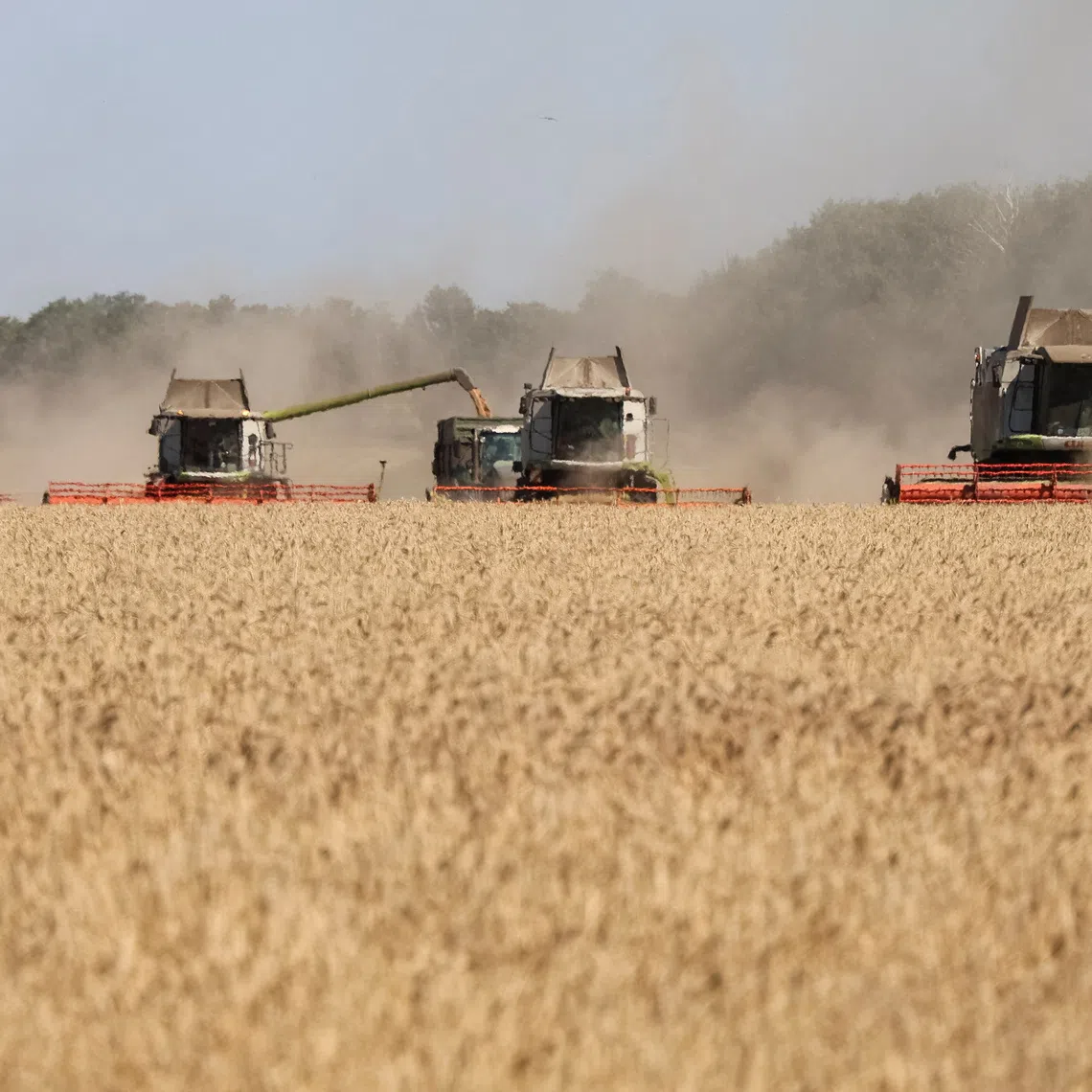 Combines harvesting wheat in a field in Ukraine’s Kharkiv region on Aug 3, amid Russia’s invasion of Ukraine.