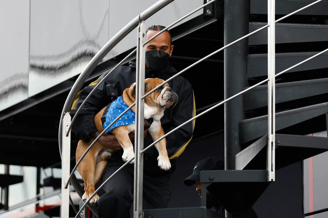FILE PHOTO: Formula One F1 - British Grand Prix - Silverstone Circuit, Silverstone, Britain - July 15, 2021 Lewis Hamilton arrives with his dog Roscoe ahead of the British Grand Prix REUTERS/Andrew Couldridge/File Photo