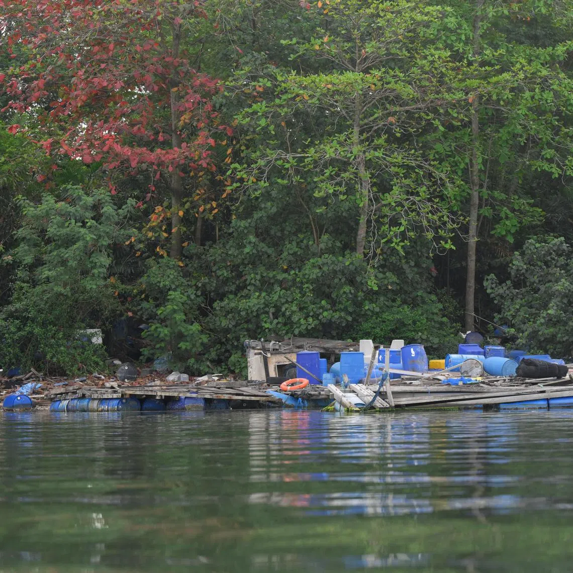 (PLS NOTE: Cheryl Tan's exclusive, do not share) Remnants and parts of old kelongs are seen on the shore of Pulau Ketam on Oct 3, 2024.