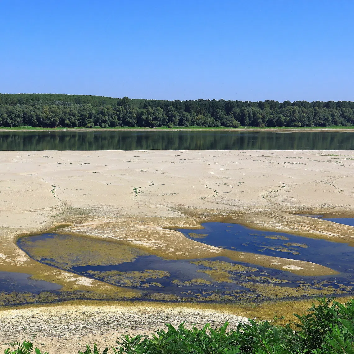 Exposed sandbanks along the Danube river amid historic low water levels, in the village of Rasova, near Romania’s Cernavoda nuclear power plant on Aug 5.