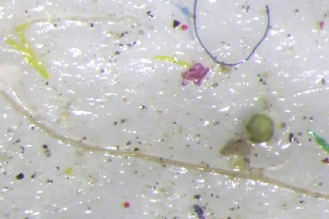 Ice core samples collected from the Arctic Ocean near Canada contain tiny plastic fragments, known as microplastics.