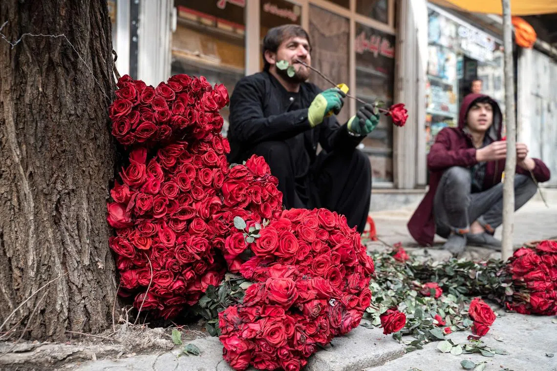 Afghan vendors selling roses wait for customers along the flower street on the occasion of Valentine's Day in the Shar-e-Naw area of Kabul on Feb 14, 2023.