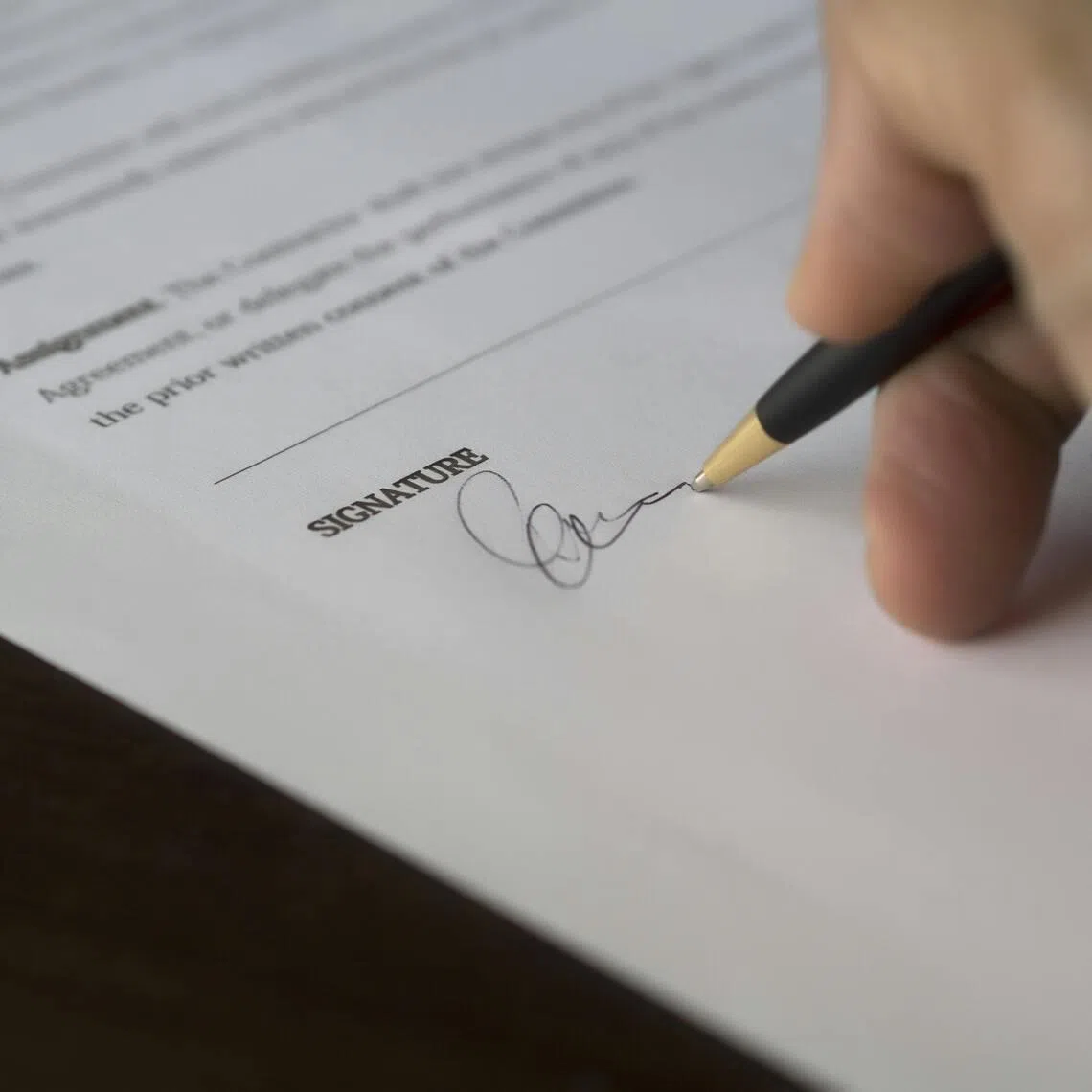 If you have identified certain troublemakers and you do not wish any of them to get their hands on your assets, you can state so clearly in your will.