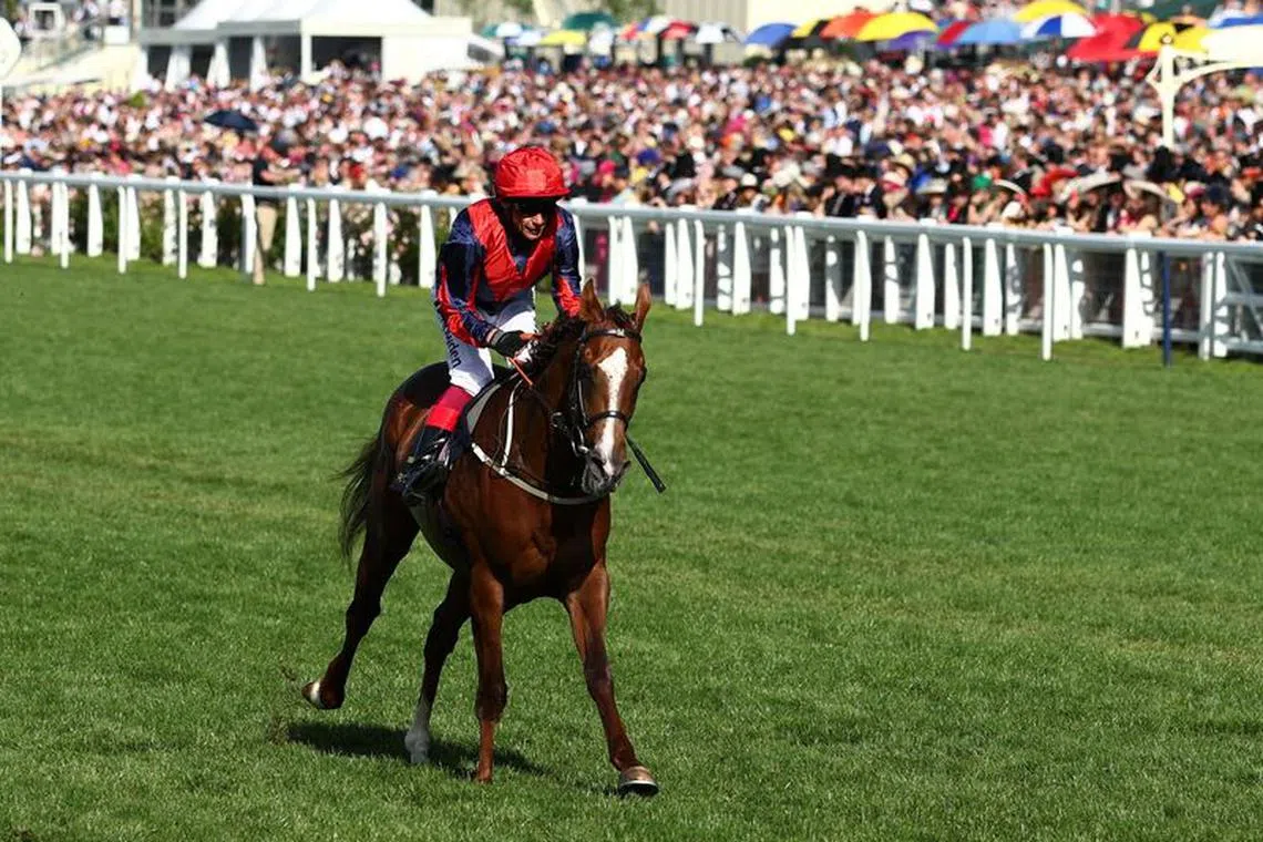 FILE PHOTO: Horse Racing - Royal Ascot - Ascot Racecourse, Ascot, Britain - June 24, 2023 Frankie Dettori riding Knockbrex in action during his last race at Royal Ascot the 17:35 Golden Gates Stakes REUTERS/Andrew Boyers/File Photo