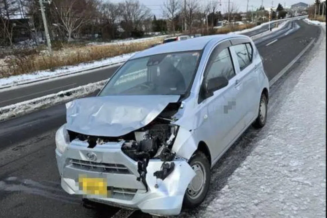 According to the Hokkaido Prefectural Police, 2,938 accidents involving the Yezo sika deer had occurred as of the end of September 2024.