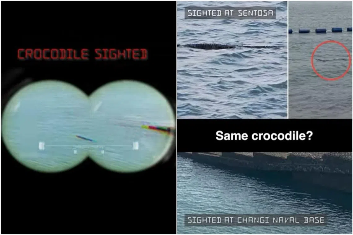 A crocodile was spotted in waters near the Changi Naval Base by sea soldiers from the Republic of Singapore Navy.
