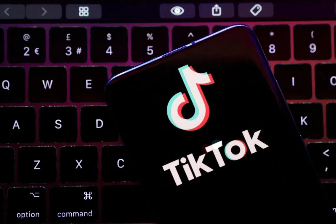 TikTok said accusations that it was blocking pro-Palestinian content were “unfounded”.