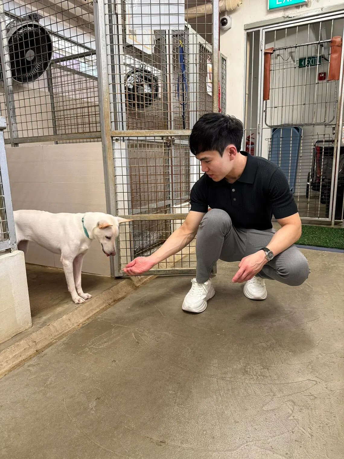 jsdonate31 - Dr Ian Tan, founder and medical director of V Aesthetics Holdings, pledged to donate $400,000 to animal welfare group SOSD.PHOTO: V AESTHETICS HOLDINGS
