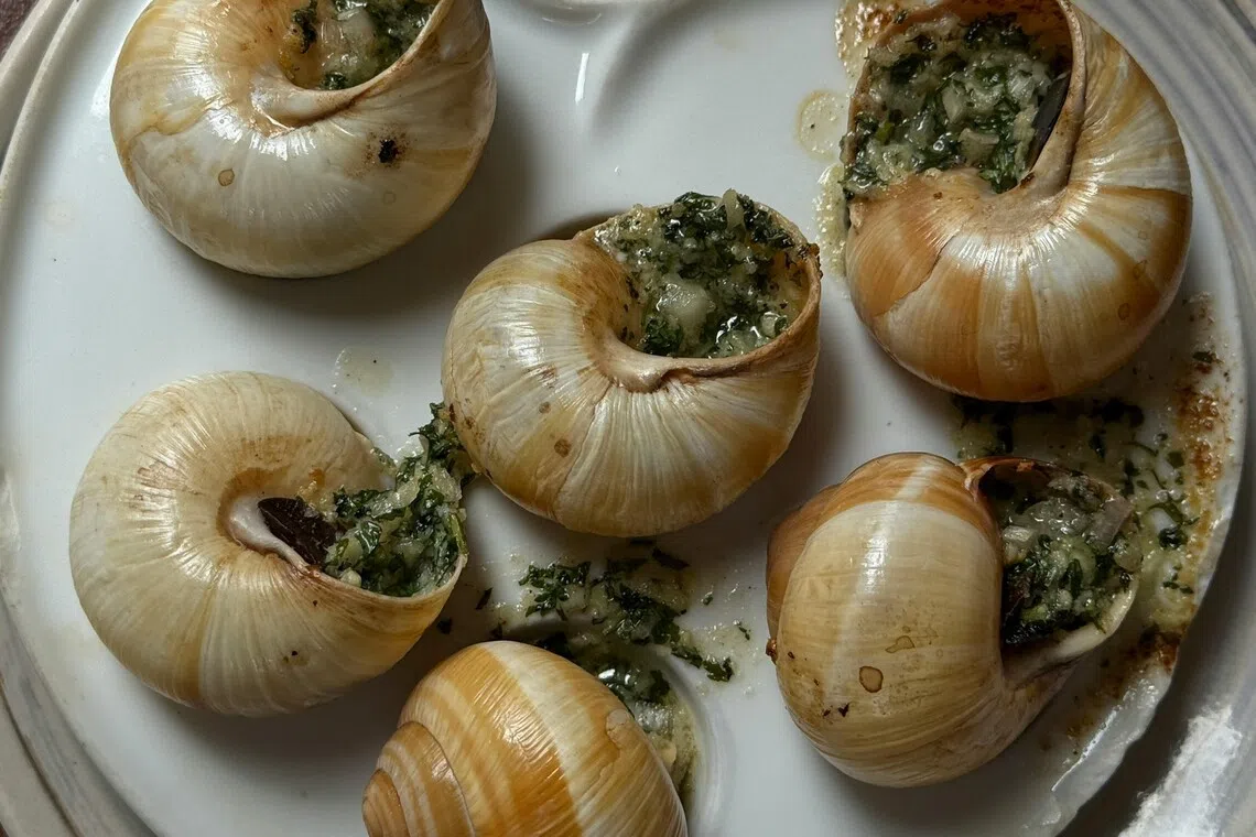 The farm breeds 350,000 snails annually, and supply them to fine-dining and Michelin-starred restaurants in France.