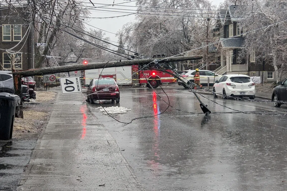 View of the damage following an ice storm in Montreal, Quebec, Canada.