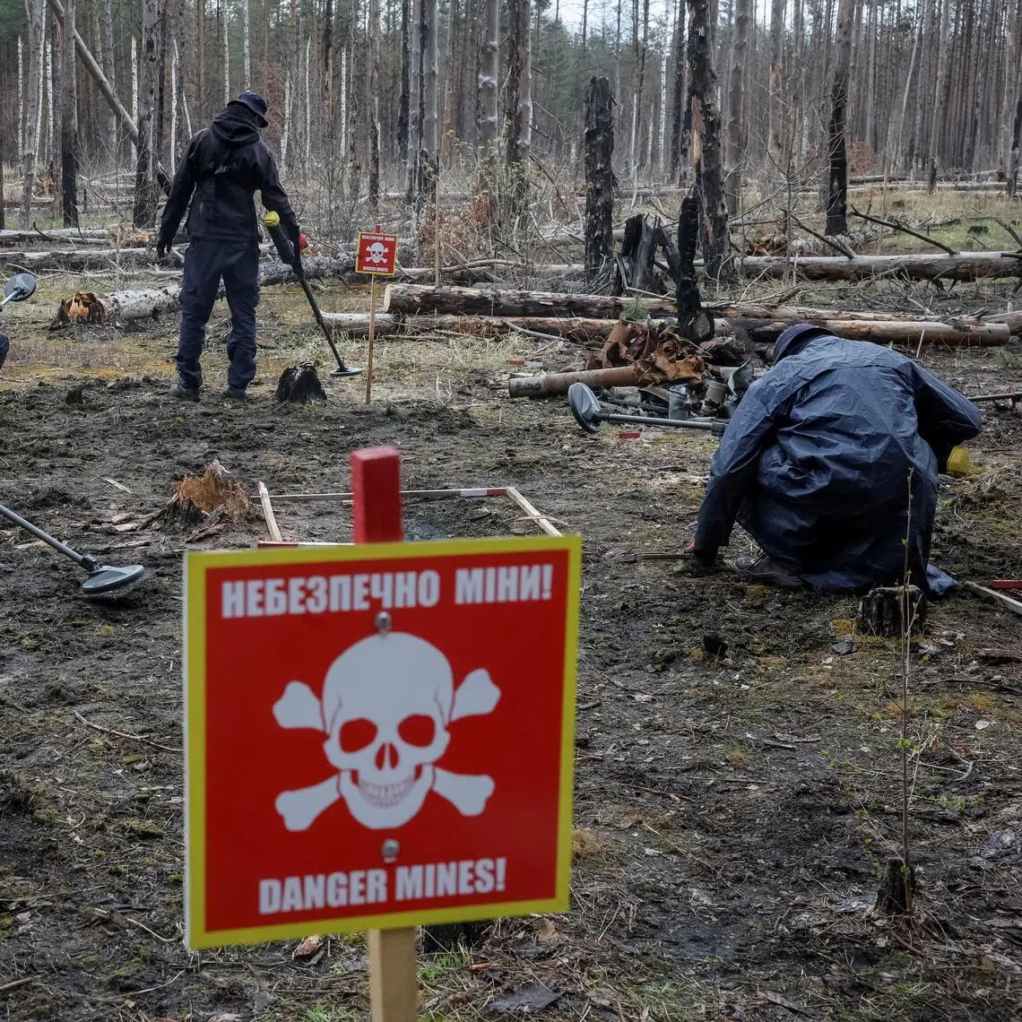 Employees of the HALO Trust (Hazardous Area Life-support Organization), a humanitarian non-government organisation which primarily works to clear landmines and other explosive devices use metal detectors to search for mines and unexploded ordnance left behind after Russia occupied the area, amid Russia's attack on Ukraine, near the village of Myrotske in Kyiv region, Ukraine April 8, 2026. REUTERS/Gleb Garanich