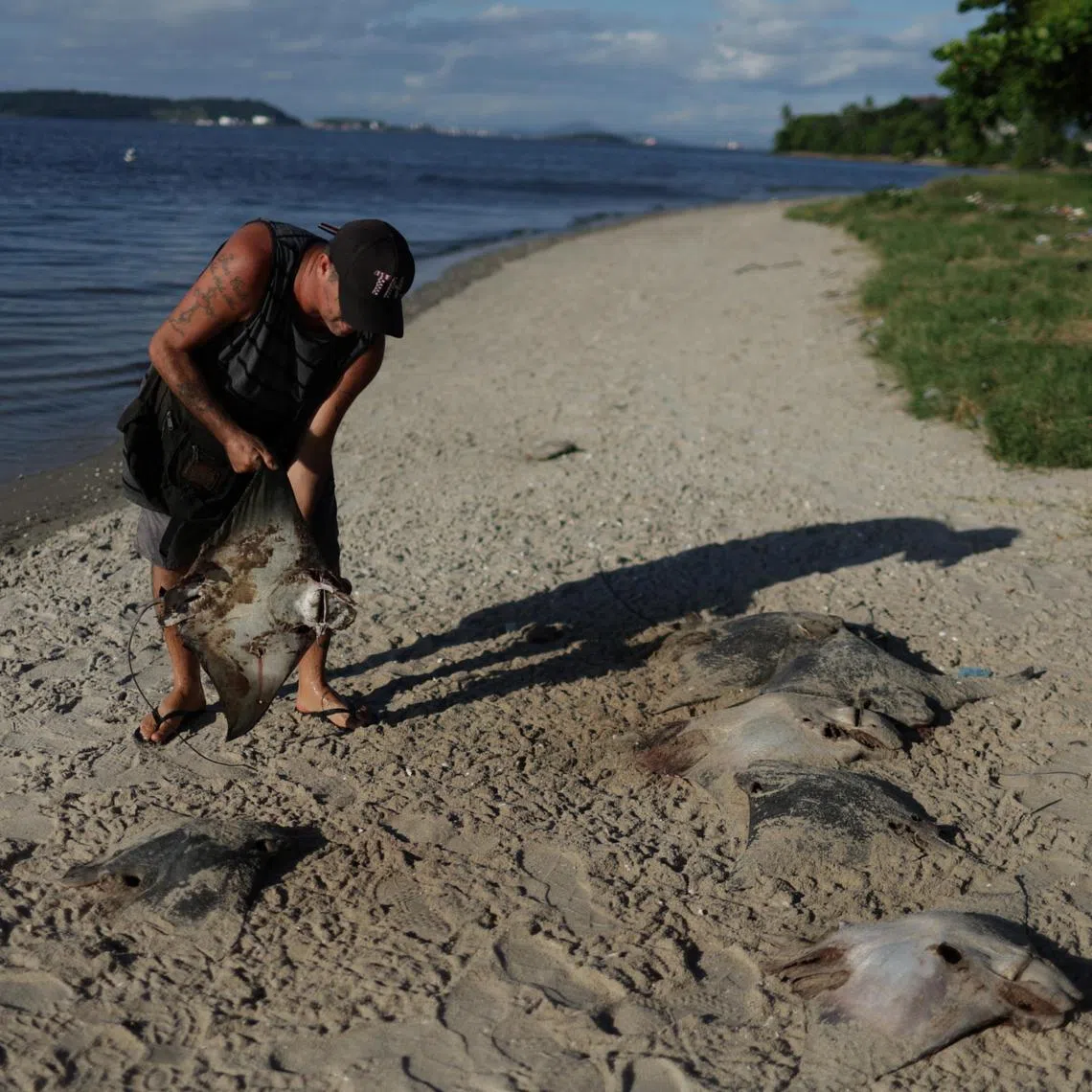A fisherman holds a dead stingray at Ilha do Fundao, on the banks of the Guanabara Bay, in Rio de Janeiro, Brazil. 

