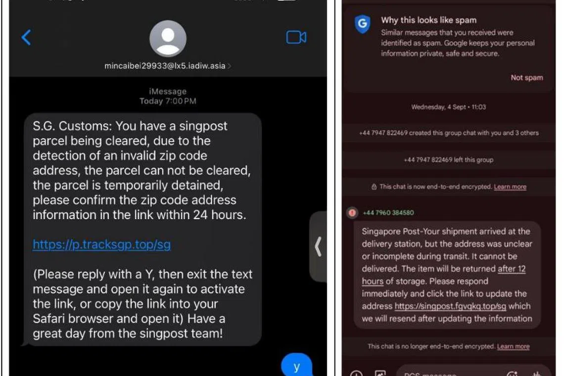 A surge in parcel delivery scams in 2024 has cost victims a total of at least $616,000, the police warned on Sept 20.
