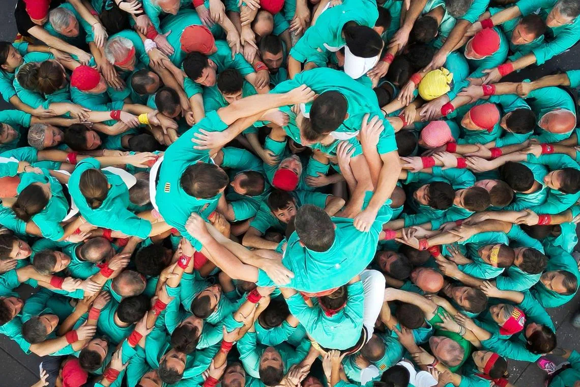 Members of the "Castellers de Villafranca" Human Tower team forming a "castell" during an exhibition to celebrate the 75th anniversary of their foundation at the Zocalo square in Mexico City on Nov 21, 2023. 