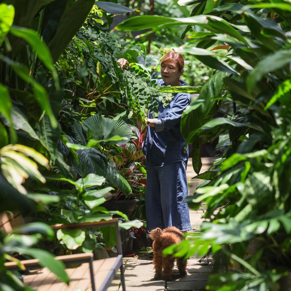 Former The Straits Times journalist Irene Ngoo’s new condo garden and her new season in life.