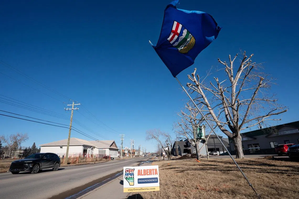 An Alberta flag flies at an Alberta Independence petition signing location in High River, Alberta, Canada February 5, 2026.  REUTERS/Todd Korol