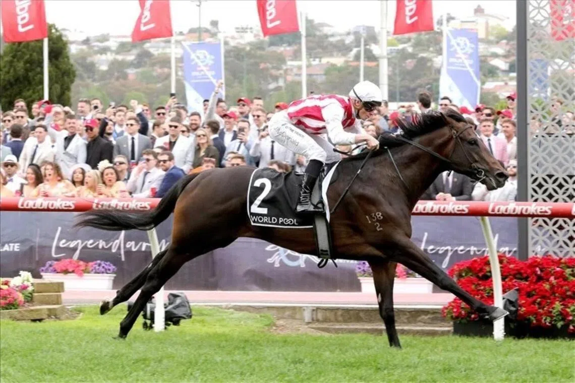 Napoleonic (James McDonald) winning the Group 3 Red Anchor Stakes (1,200m) at Moonee Valley on Oct 25, 2025. 


