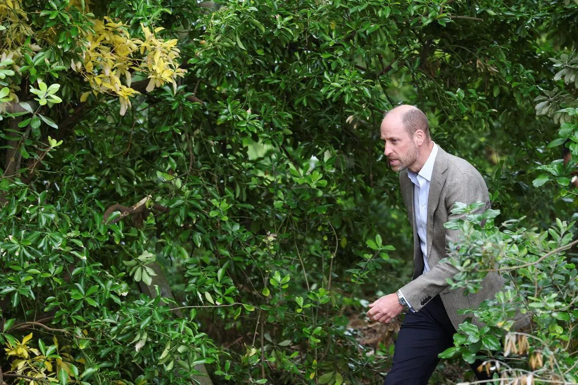 Prince William shares Princess Kate good news as dark chapter ends