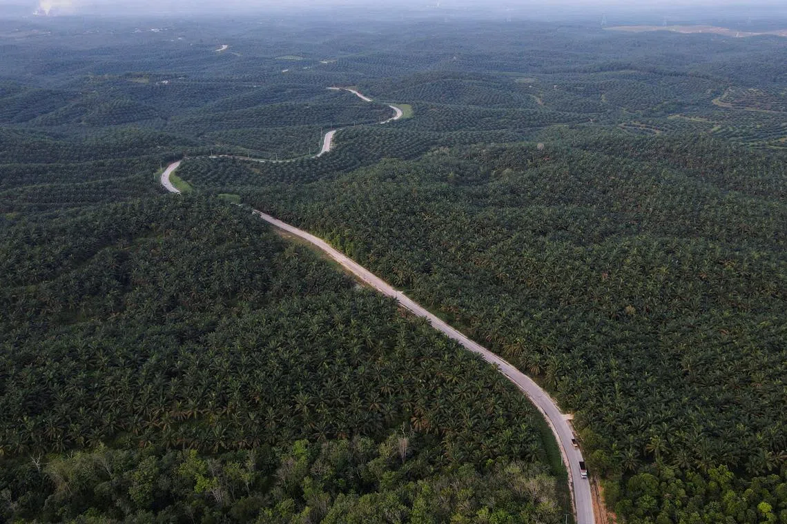 In many ways, the recurrent problem of land and forest fires and haze, and the broader issue of deforestation, serve as litmus tests for how Indonesia will fare.