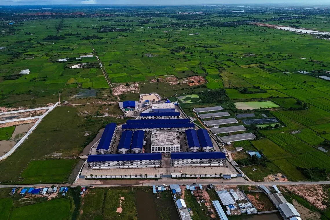 About 1,000 South Koreans were estimated to be among a total of around 200,000 people working in scam operations in Cambodia.