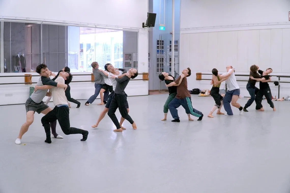 Arts Picks: Performances from Singapore Ballet and T.H.E. Dance Company, artist Chen Cheng Mei on show