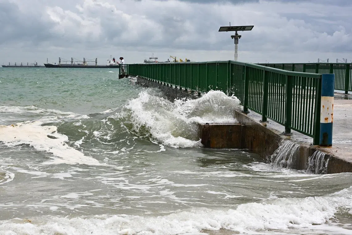 The Ministry of Sustainability and the Environment will be designating 2026 as the Year of Climate Adaptation.