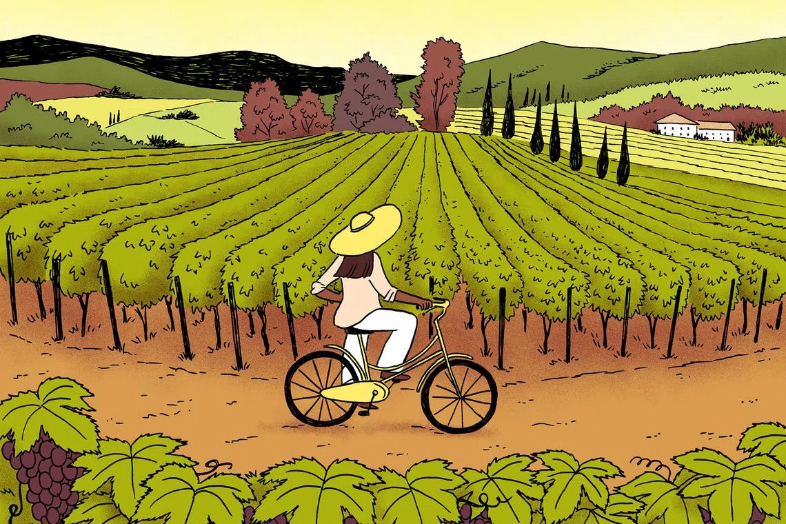 Mocktail trails, olive oil tours and elevated dining experiences are among the many ways the renowned wine-producing areas of Sonoma, Mendoza and Tuscany are appealing to sober or sober-curious travellers.