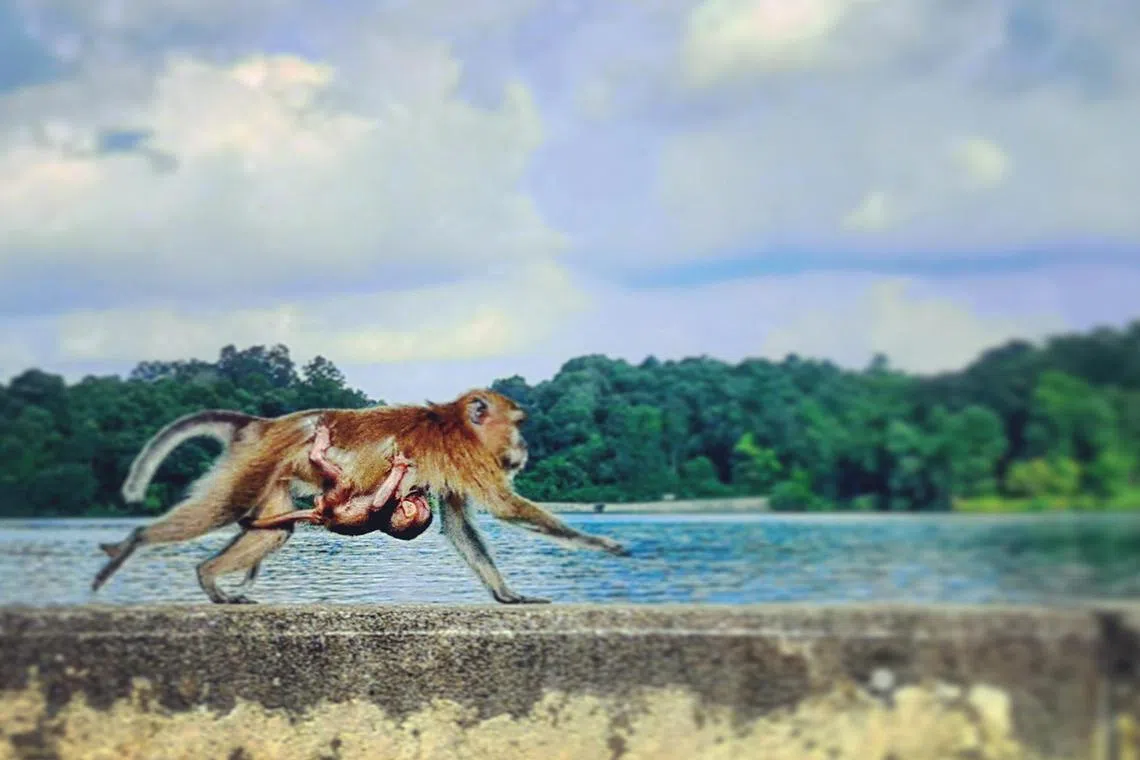 Moving images of a photographer no longer able to hold a camera | The ...