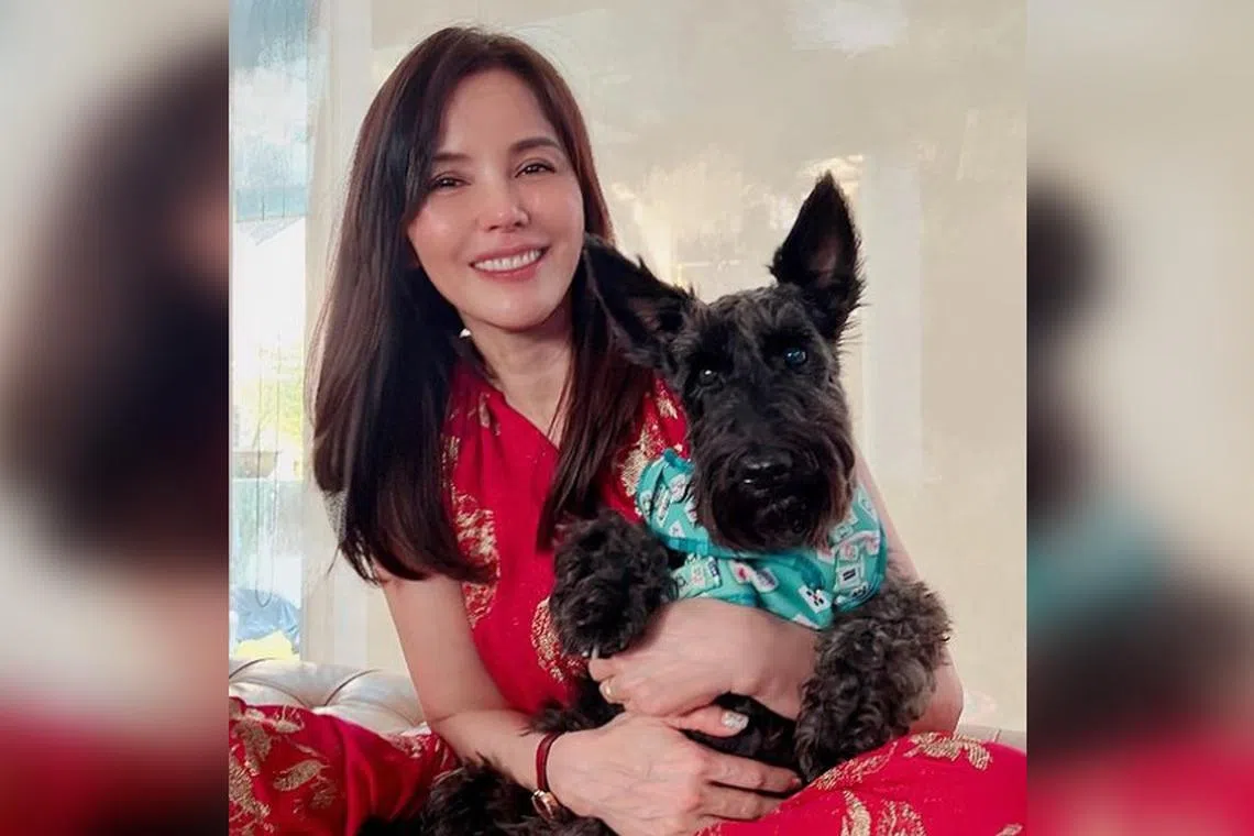 Local actress Zoe Tay adopted Pepper in 2019. 