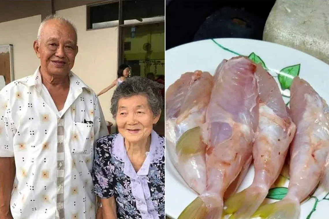 Mr Ng Chuan Sing, 84, and his wife Lim Siew Guan, 83, from Kluang district in Johor, died after eating a pufferfish. 