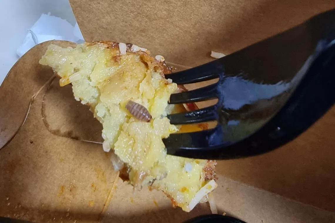 In a photo Mr Hayden Goh posted, what appears to be an insect about the size of a grain of rice, can be seen on a half-eaten begedil (potato patty).