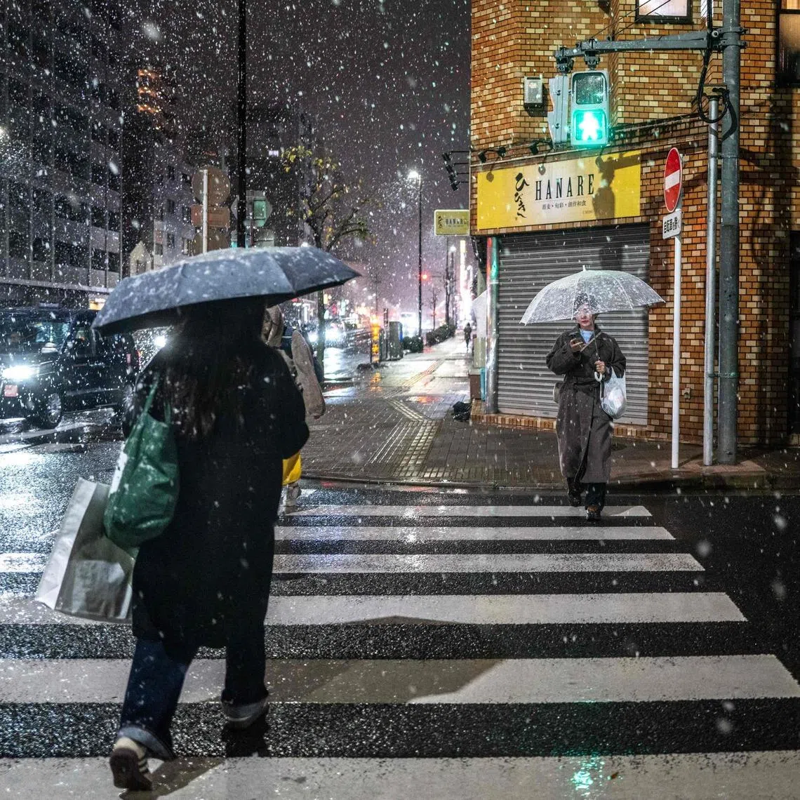 Pedestrians walking under falling snow in Tokyo's Koto district on Jan 2. Some areas of Japan have already seen twice as much snow as it usually gets at this time of the year.