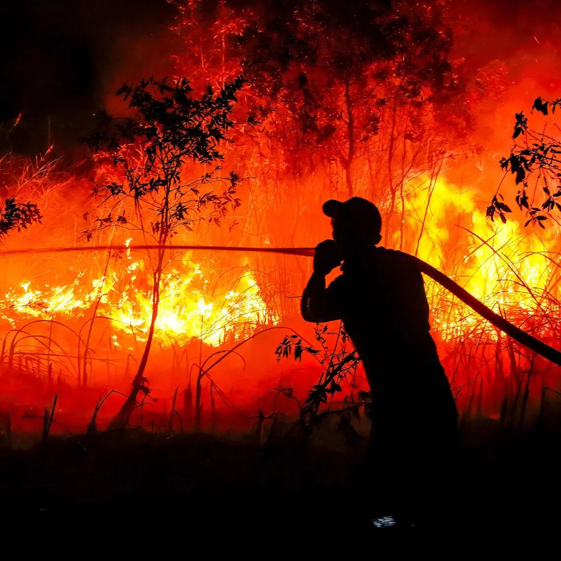 Firefighters have been battling forest fires for weeks in Borneo and Sumatra.