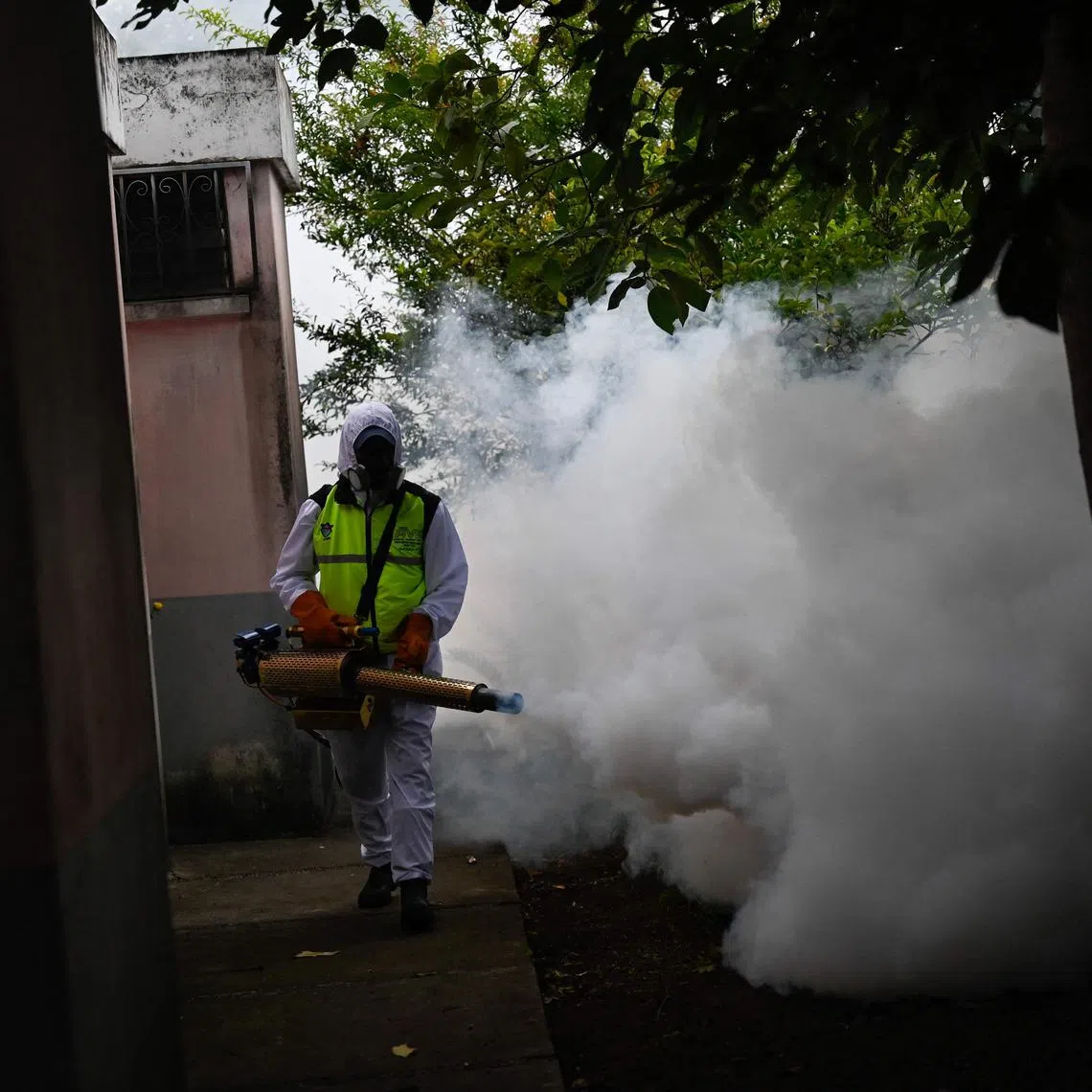 Zika is a viral infection spread by mosquitoes, which is usually mild or asymptomatic.