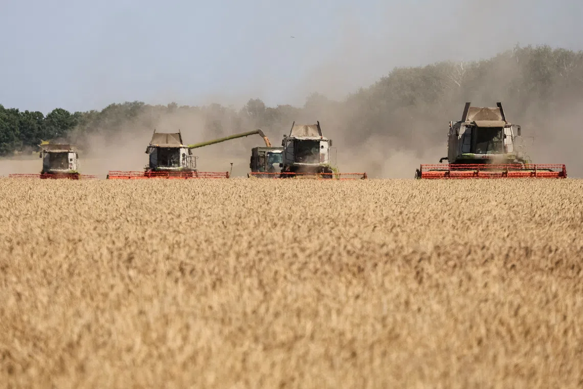 World faces fresh food price surge, FAO warns