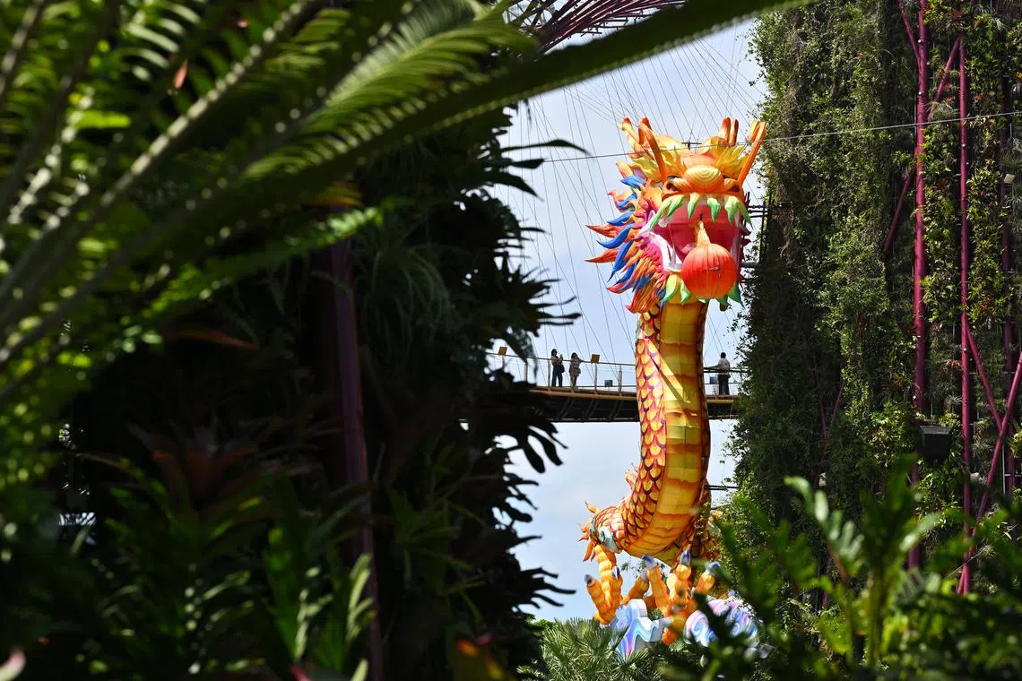 Chinese Singaporeans are preparing for a prosperous Year of the Dragon.