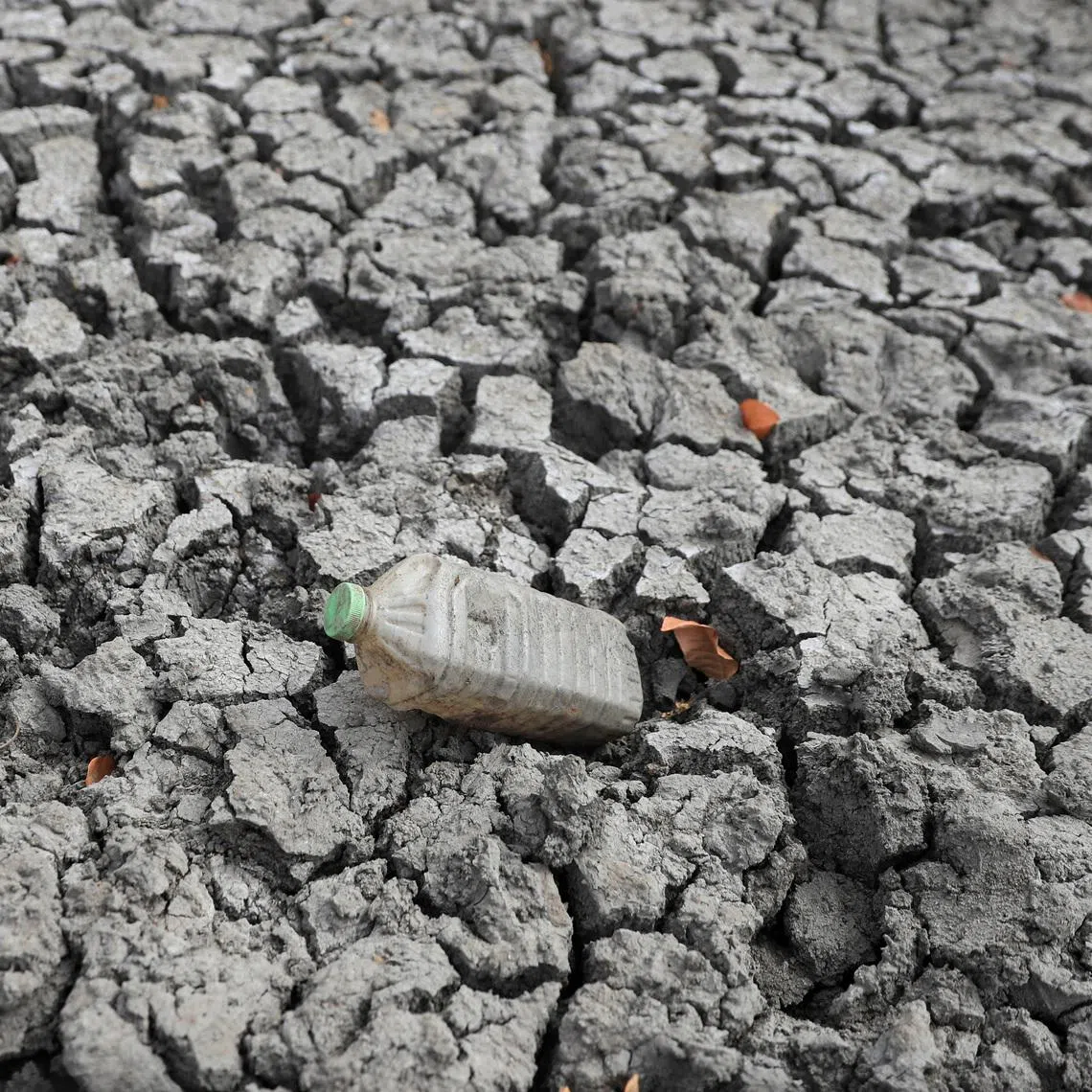 FILE PHOTO: A view of cracked ground at a dam, as Zimbabwe is experiencing an El Nino-induced drought, resulting in malnutrition among children under the age of five, pregnant and lactating women, and adolescents, in Mudzi, Zimbabwe July 2, 2024. REUTERS/Philimon Bulawayo/File Photo