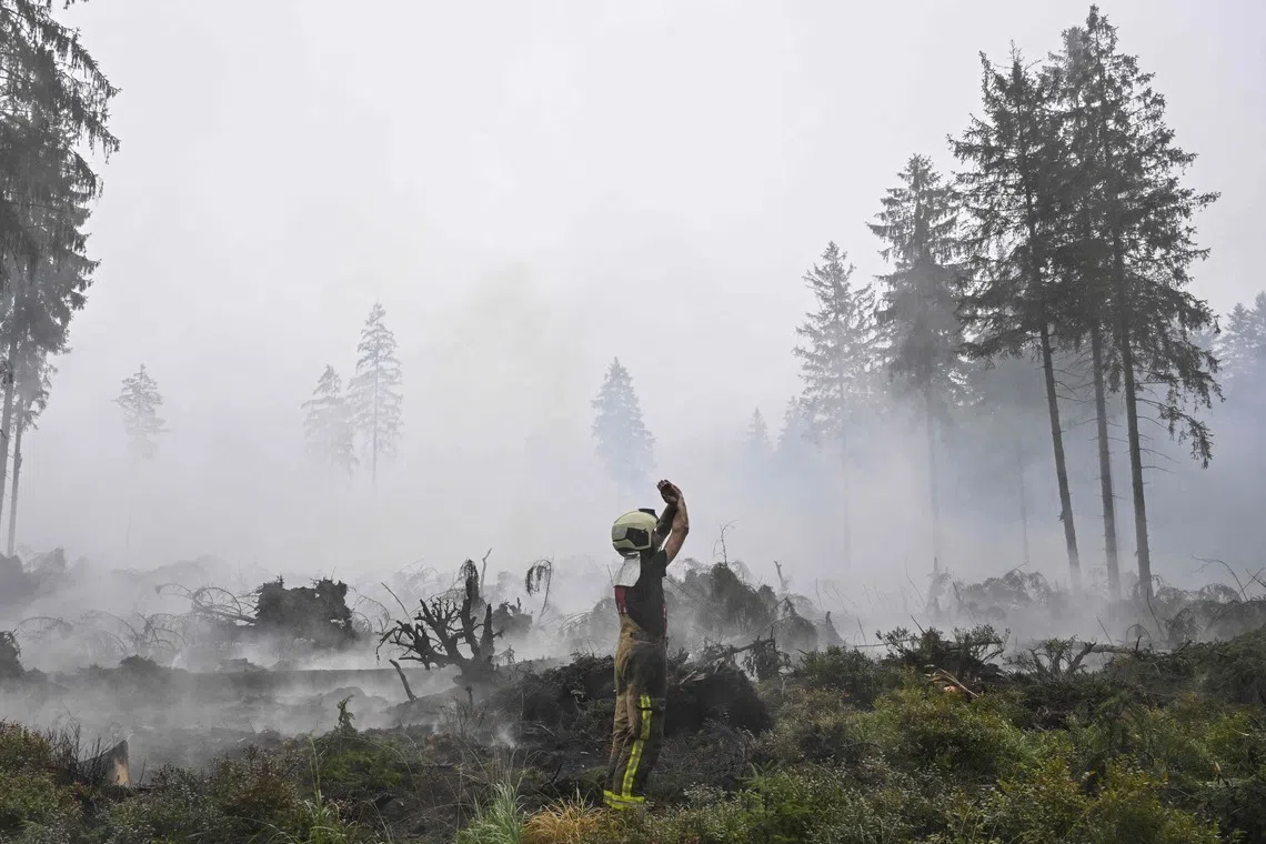 TOPSHOT - A firefighter gestures to another as smoke emanates from burnt vegetation during operations against a wildfire at the Hautes Fagnes (High Fens) nature reserve near Baelen, on August 18, 2026. Rain started falling in Belgium on August 17, 2026 to help its fight against the country's biggest modern-day wildfire that has devastated some 3,000 hectares (7,500 acres) of the High Fens park on the border with Germany. Some 500 firefighters and troops are battling the blaze that has sent a huge cloud of black smoke across the region into neighbouring Germany and France. Scientists have long warned that climate change caused by human use of fossil fuels will make periods of drought more intense and longer-lasting, creating the ideal conditions for wildfires. (Photo by JOHN THYS / AFP)